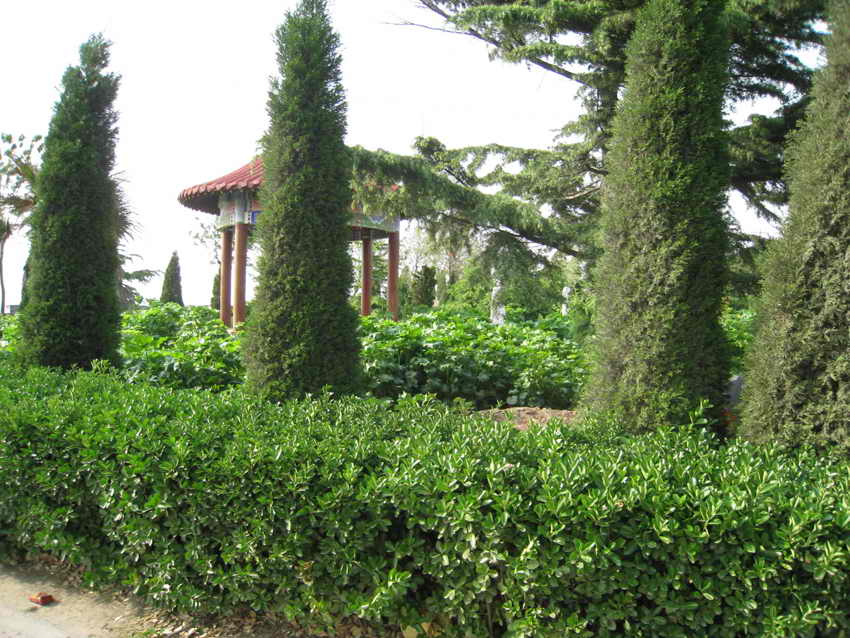 郑州墓地：御泉森林生态园